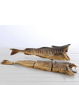 Stockfish Tusk - Panla