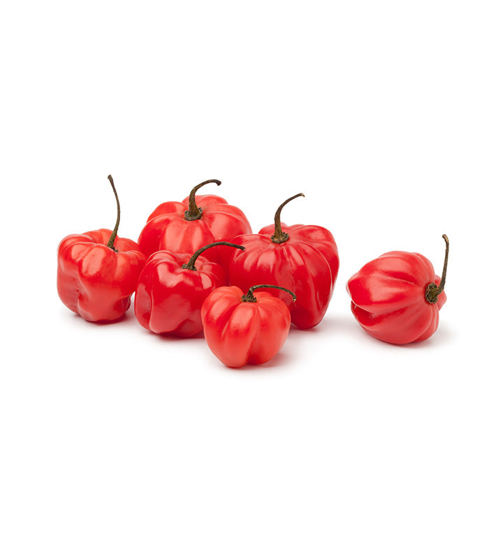 Scotch Bonnet (Ata Rodo)